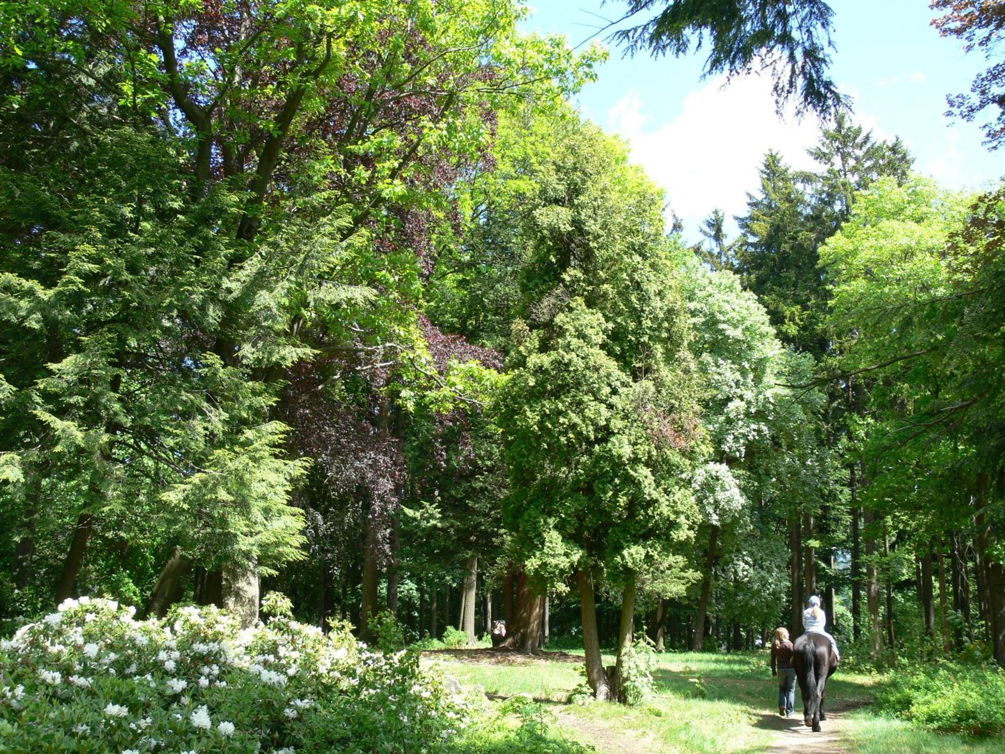 Parkhotel Smržovka Buitenkant foto